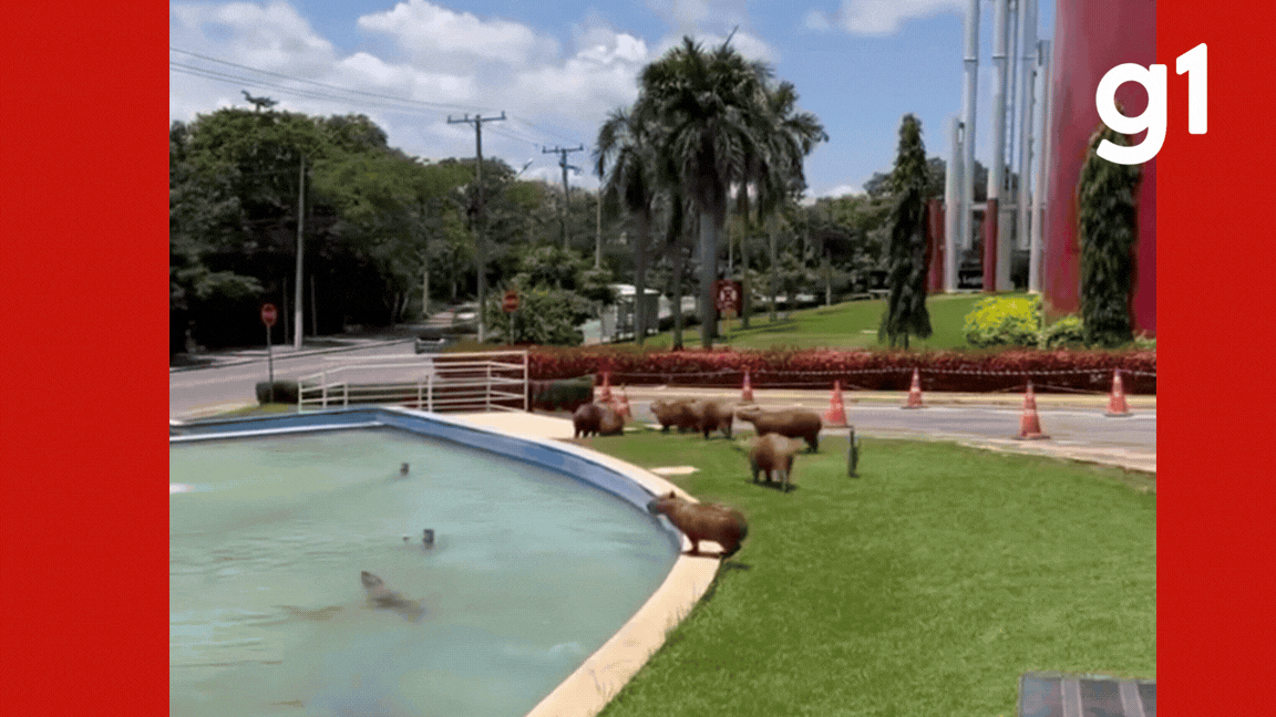 foto Not&iacute;cia Tangará da Serra