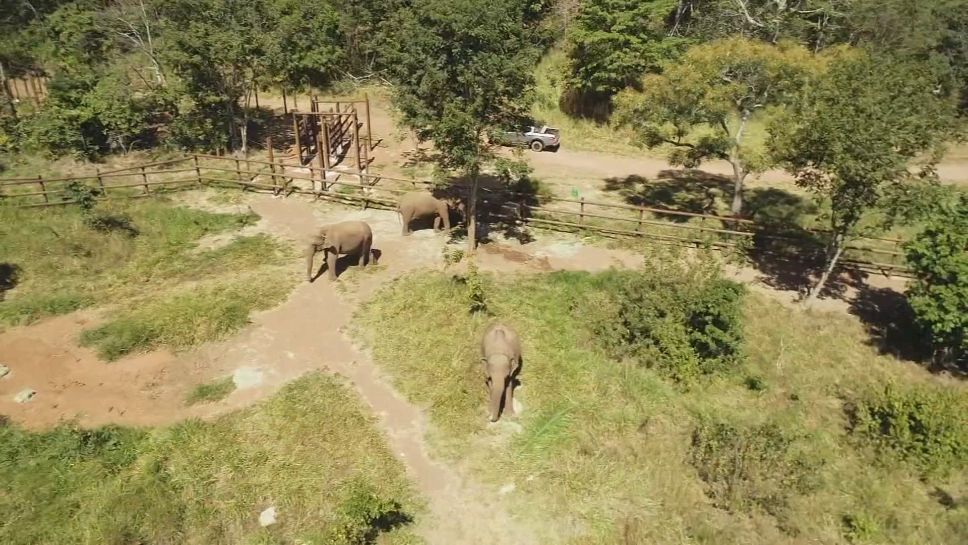 foto Not&iacute;cia Tangará da Serra